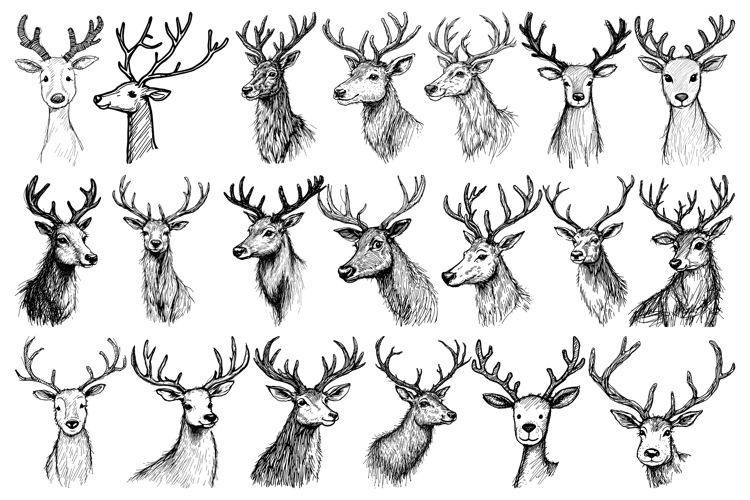 Christmas Reindeer PNG Portraits Sublimation Illustrations