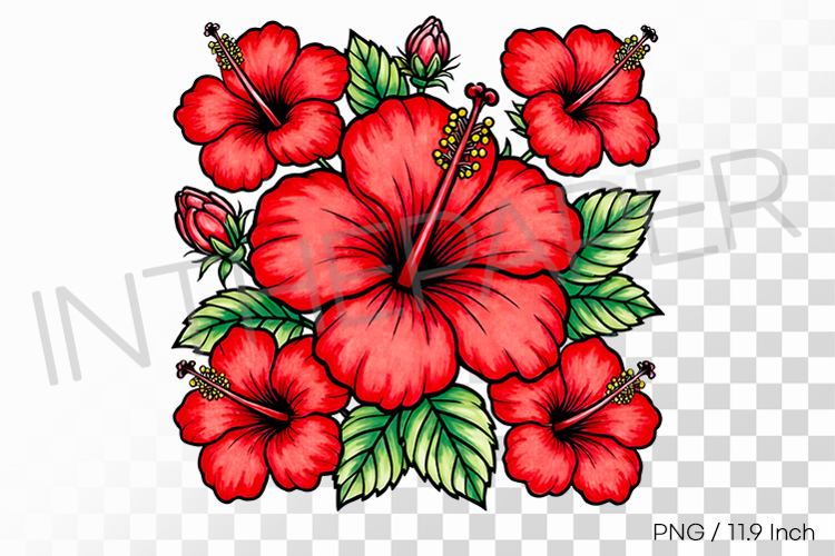 Pen Illustration Image 17