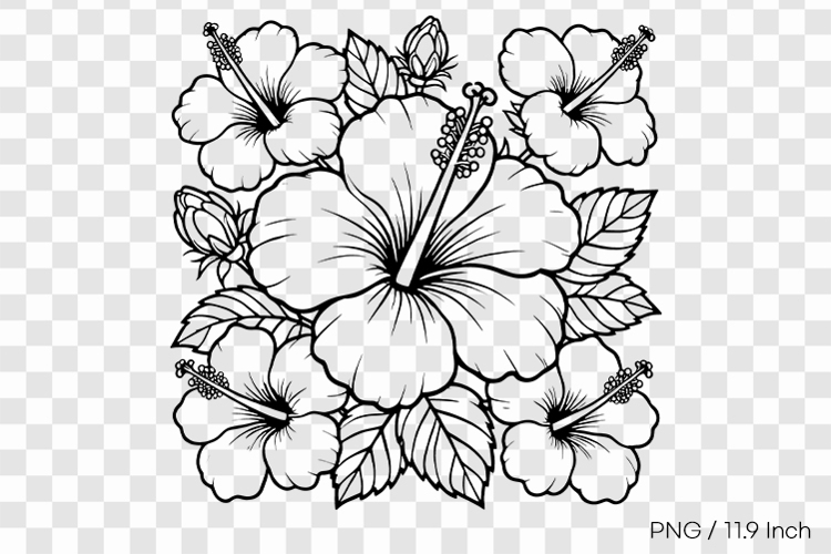 Flower Drawing Png Image 24