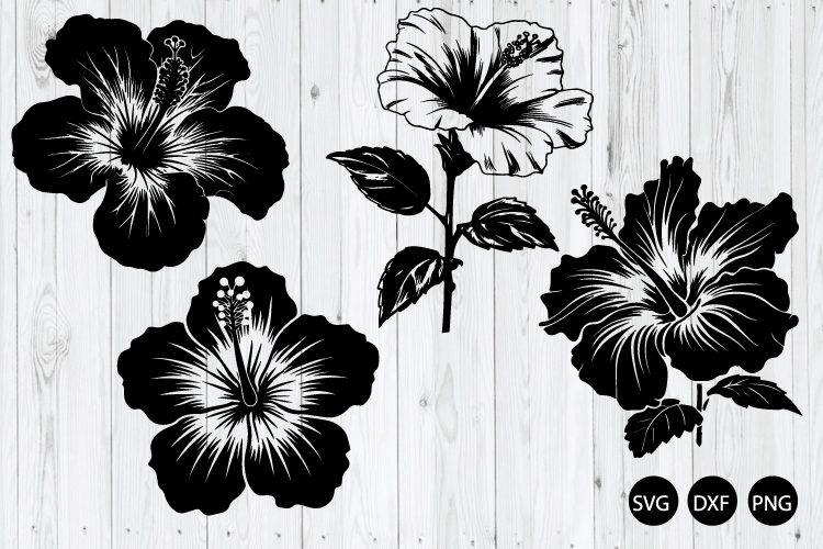 Hibiscus Flower SVG, Hawaiian Flower SVG, Tropical Flower