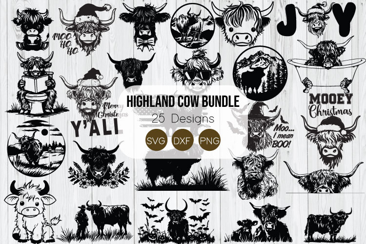 Highland Cow Png Image 2