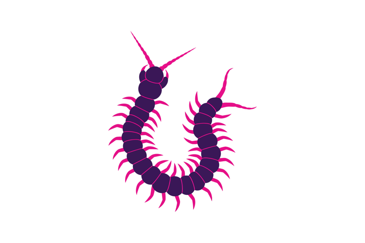 Insect Clipart Image 22
