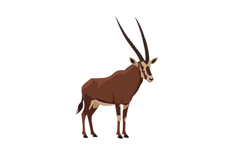 A graceful brown antelope standing proudly in a flat design