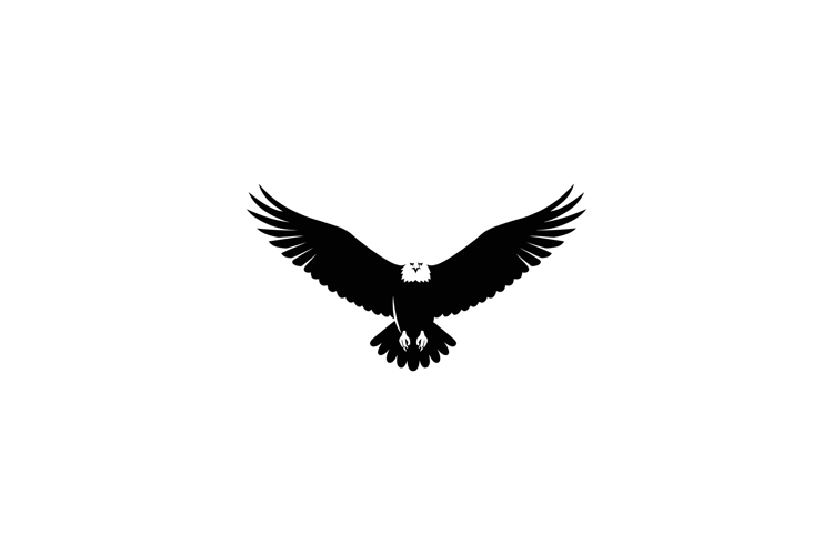 Wings Silhouette Image 16