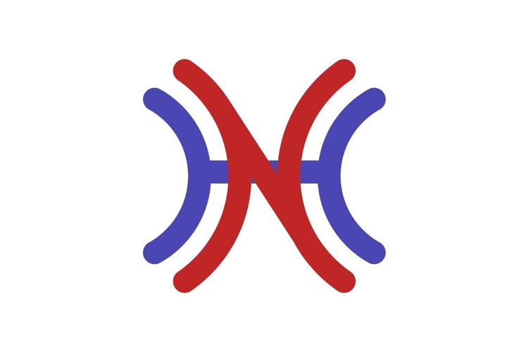 HN NH logo design