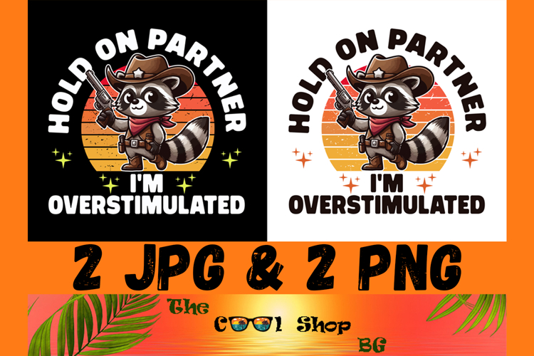 Raccoon Png