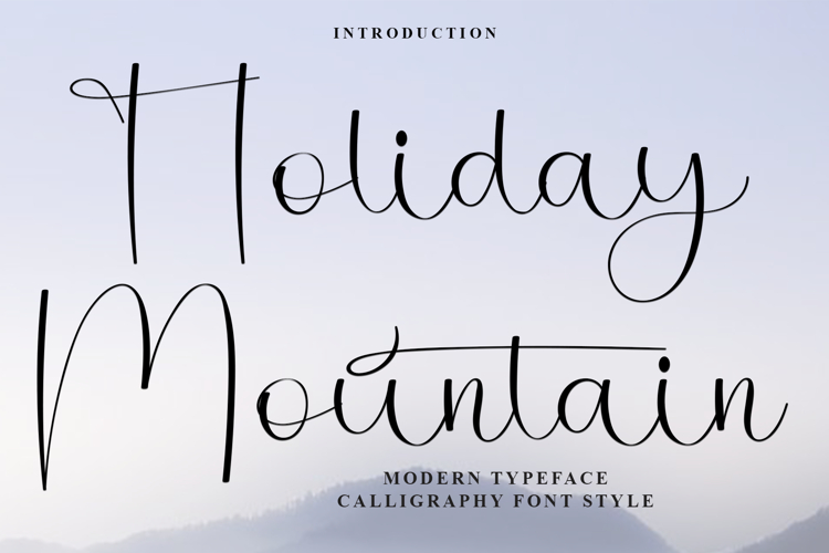 Business Fonts Image 14