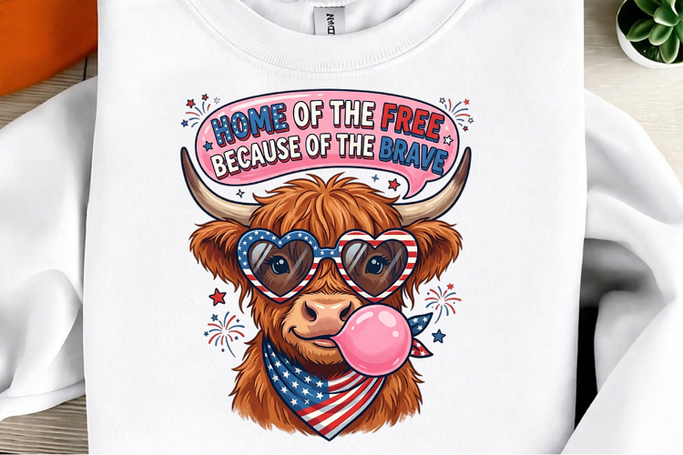 Home Of The Free Because Of The Brave
