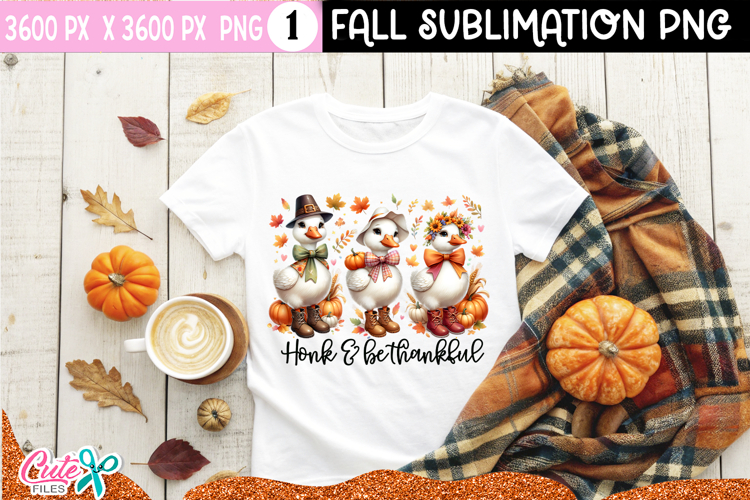 Cute Turkey Pictures Image 11