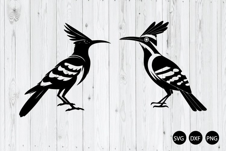 Hoopoe Bird SVG, Bird Silhouette SVG, Bird SVG