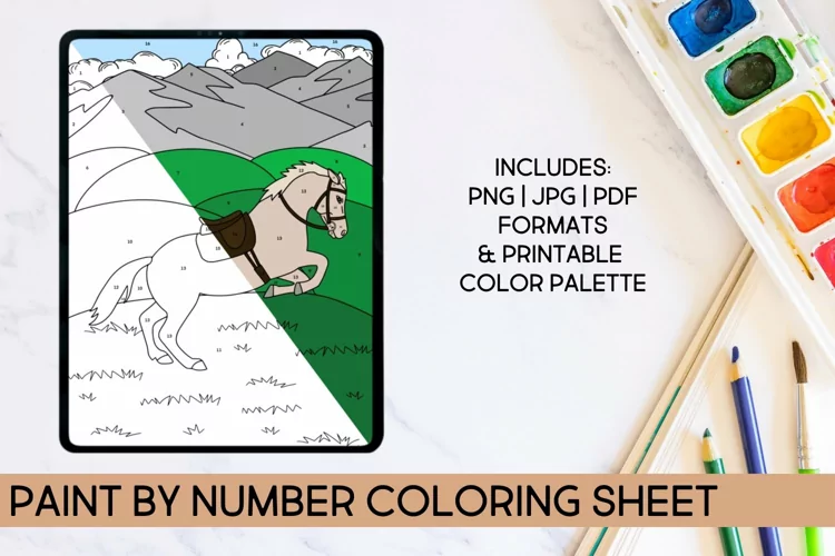 Paint by Number Horse Coloring Sheet