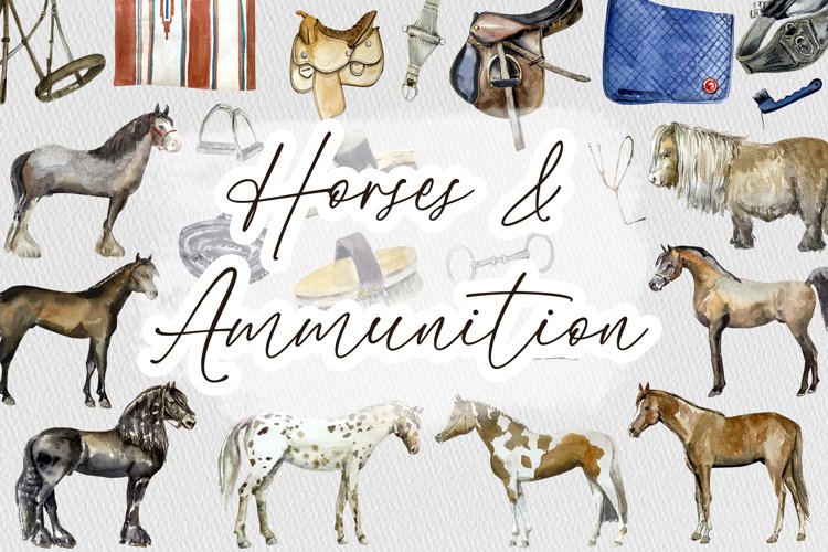 Horse Clipart Image 17