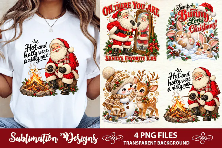 Hot and Holly We're a Risky Mix Funny Santa Roasting