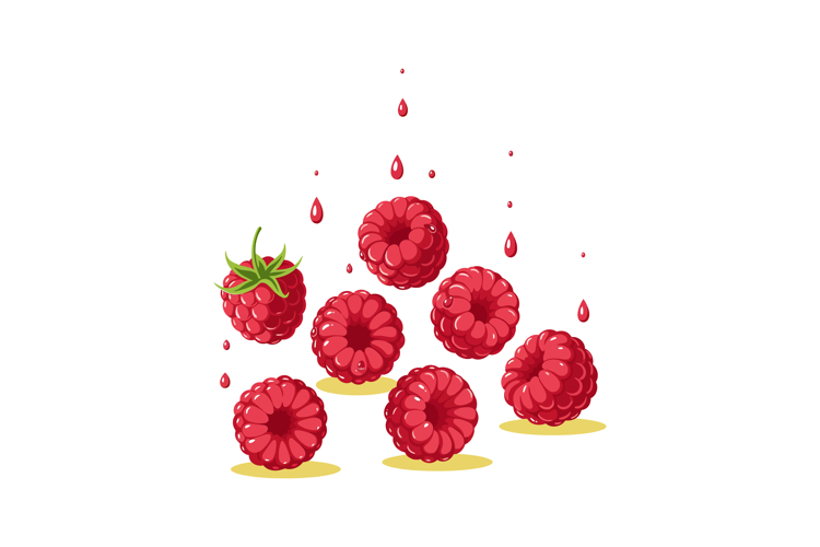 Raspberry Illustration Image 2