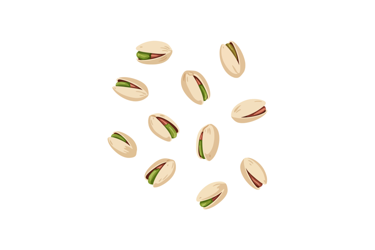 Seed Clipart Image 11