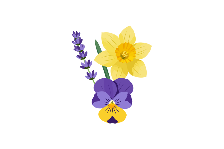 Daffodil Clipart Image 13