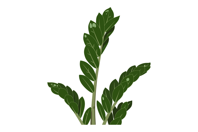 Plant Vector Image 14