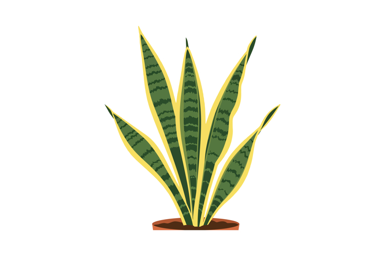 Nature Illustration Image 14