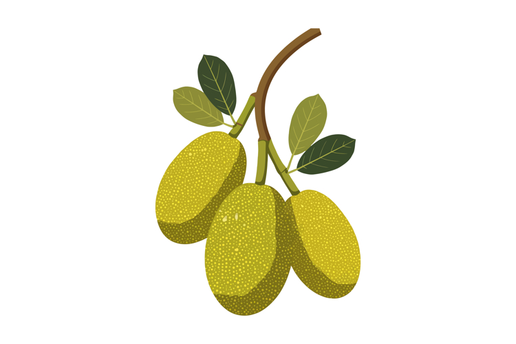 Three Clipart Image 7