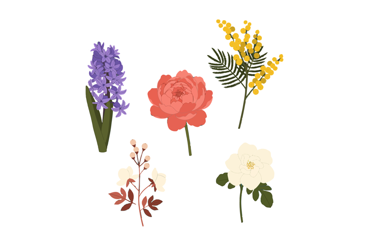 Flowers Vector Image 8