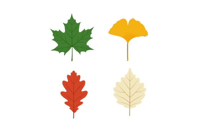 Fall Clipart Image 14