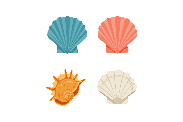 Seashell Vector Image 7