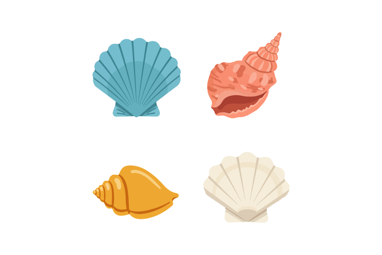 Seashell Vector Image 5