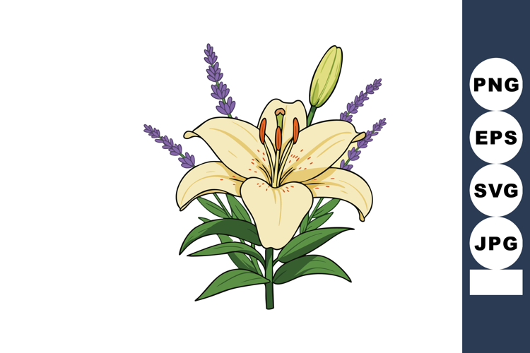 White lily flower with purple lavender bouquet illustration