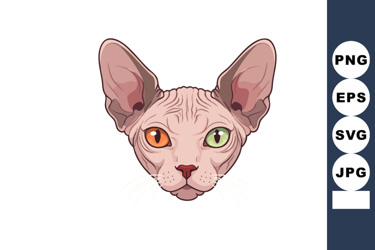 Eyes Clipart Image 15