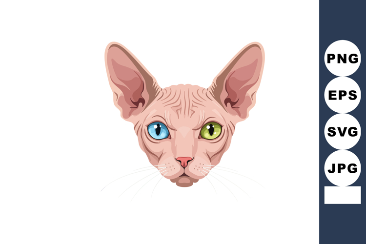 Eyes Clipart Image 9