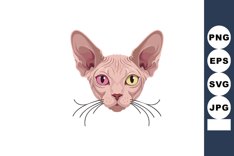 Eyes Clipart Image 14
