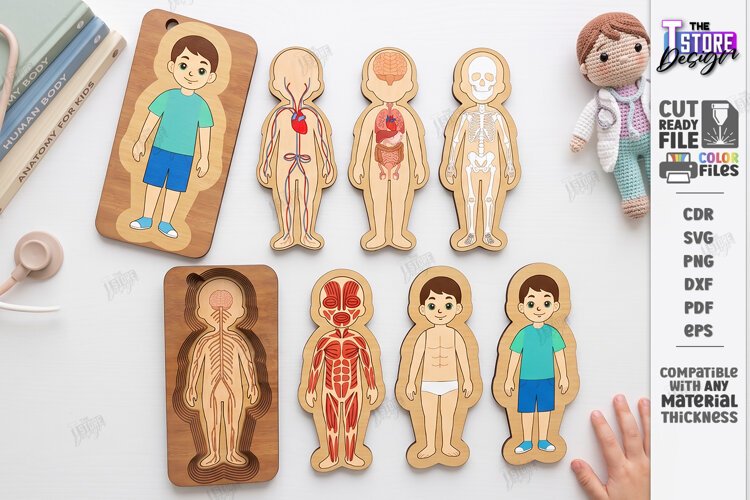 Human Body Organs Puzzle Laser Cut | Human Anatomy Laser Cut example image 1
