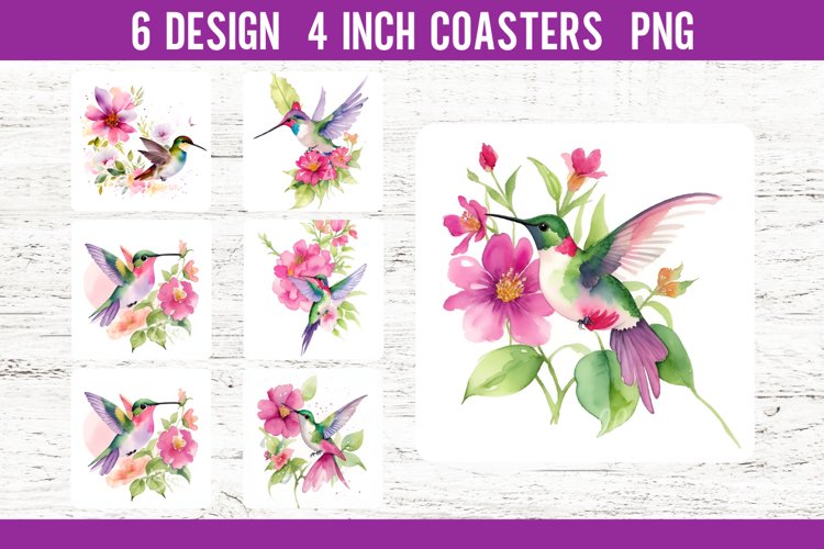 Hummingbird Png Image 22