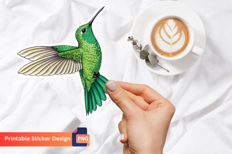 Hummingbird Clipart Image 12