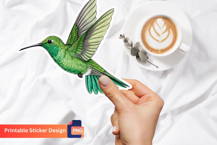 Hummingbird Sticker, Bird Sticker Vinyl, Colorful Bird Art