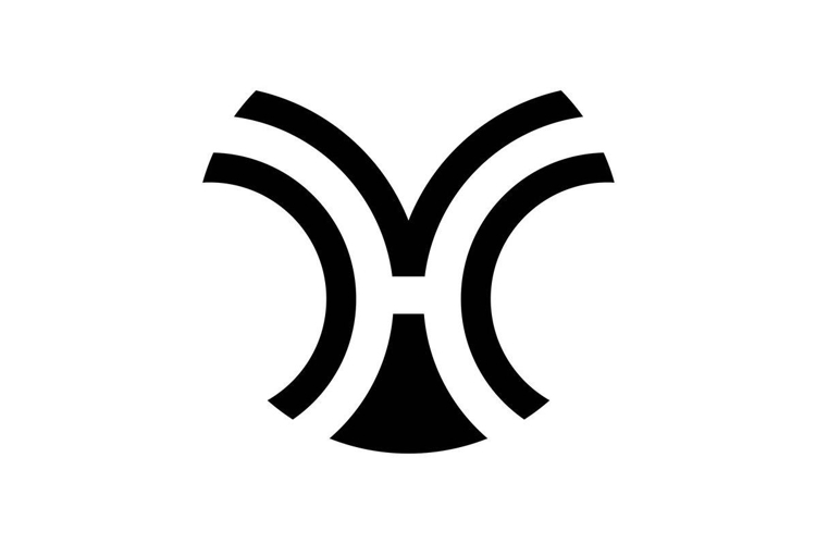 HV VH logo design