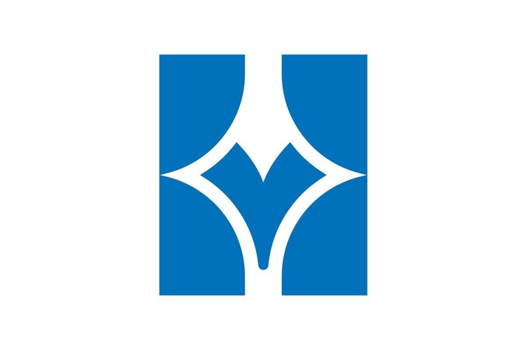 HV VH logo design