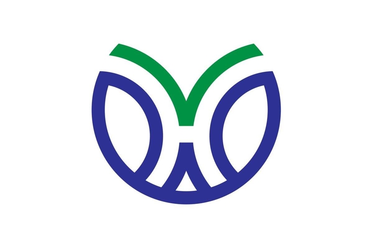 HV VH logo design