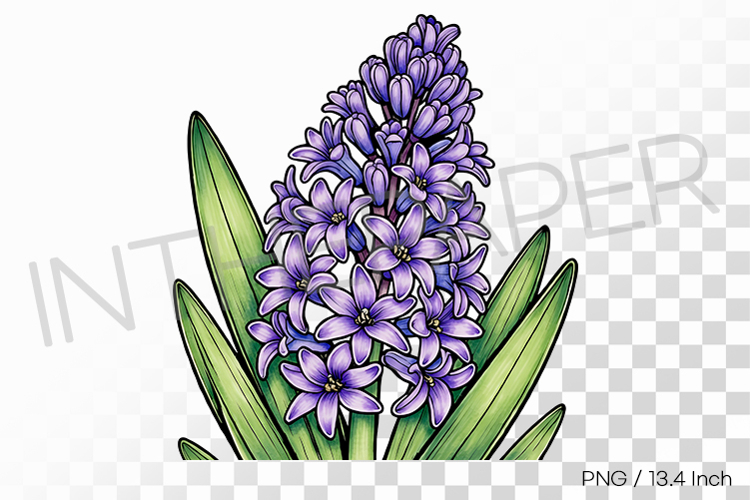Pen Illustration Image 16