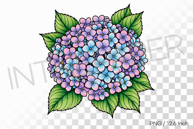 Pen Illustration Image 15