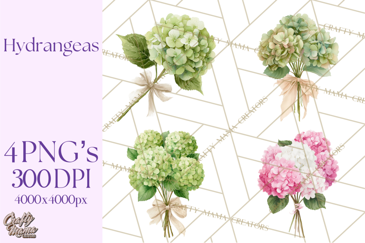 Hydrangea Clipart