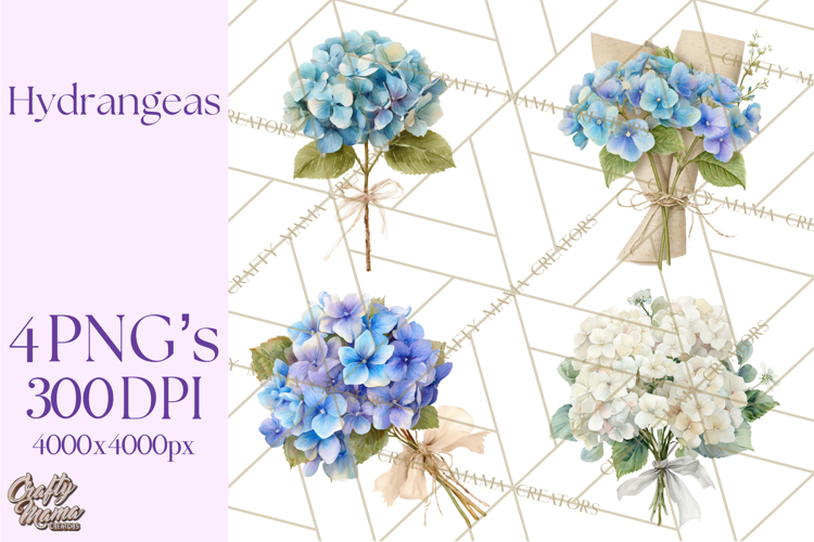 Hydrangea Clipart Image 14
