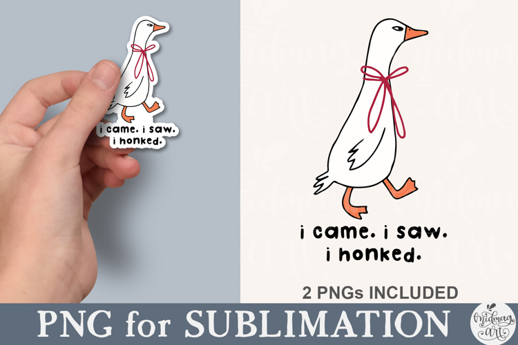 I Came I Saw I Honked Funny Goose PNG