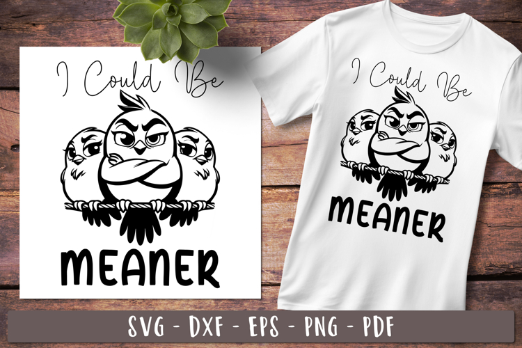 I Could Be Meaner Funny birds Sarcastic sayings