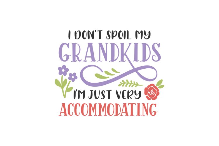 I Don't Spoil My Grandkids, I'm Just Very Accommodating example image 1
