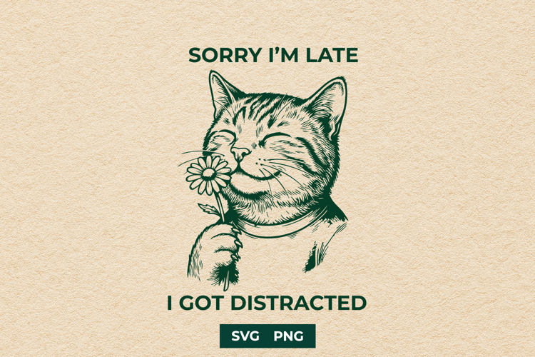 Kitten Png