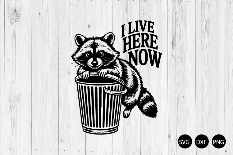 Raccoon Png Image 6