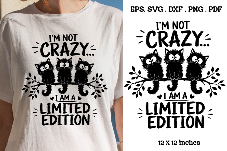 Im Not Crazy I Am A Limited Edition Funny Cat SVG