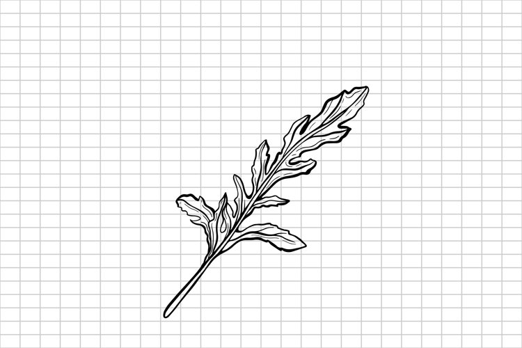 Italian Clipart Image 4