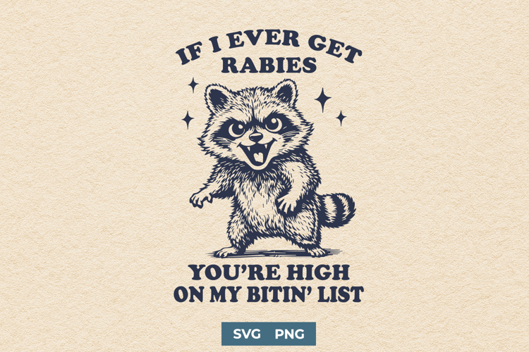 Raccoon Png Image 18